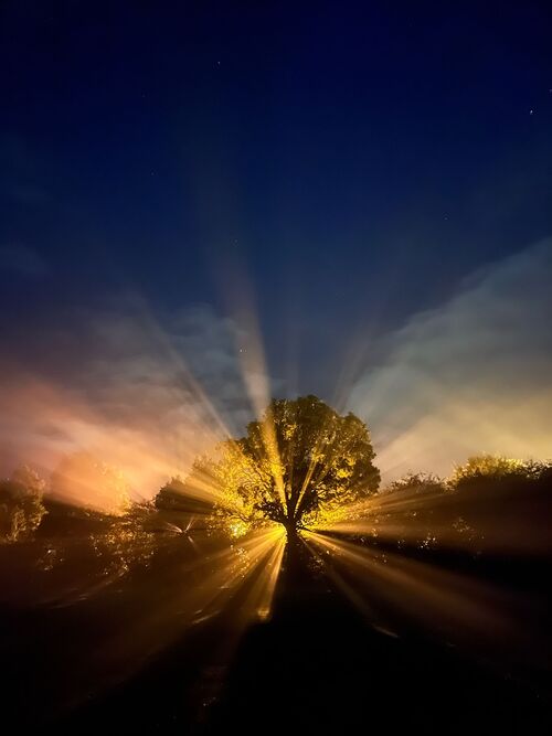 Foto von Veronica Wu auf Unsplash